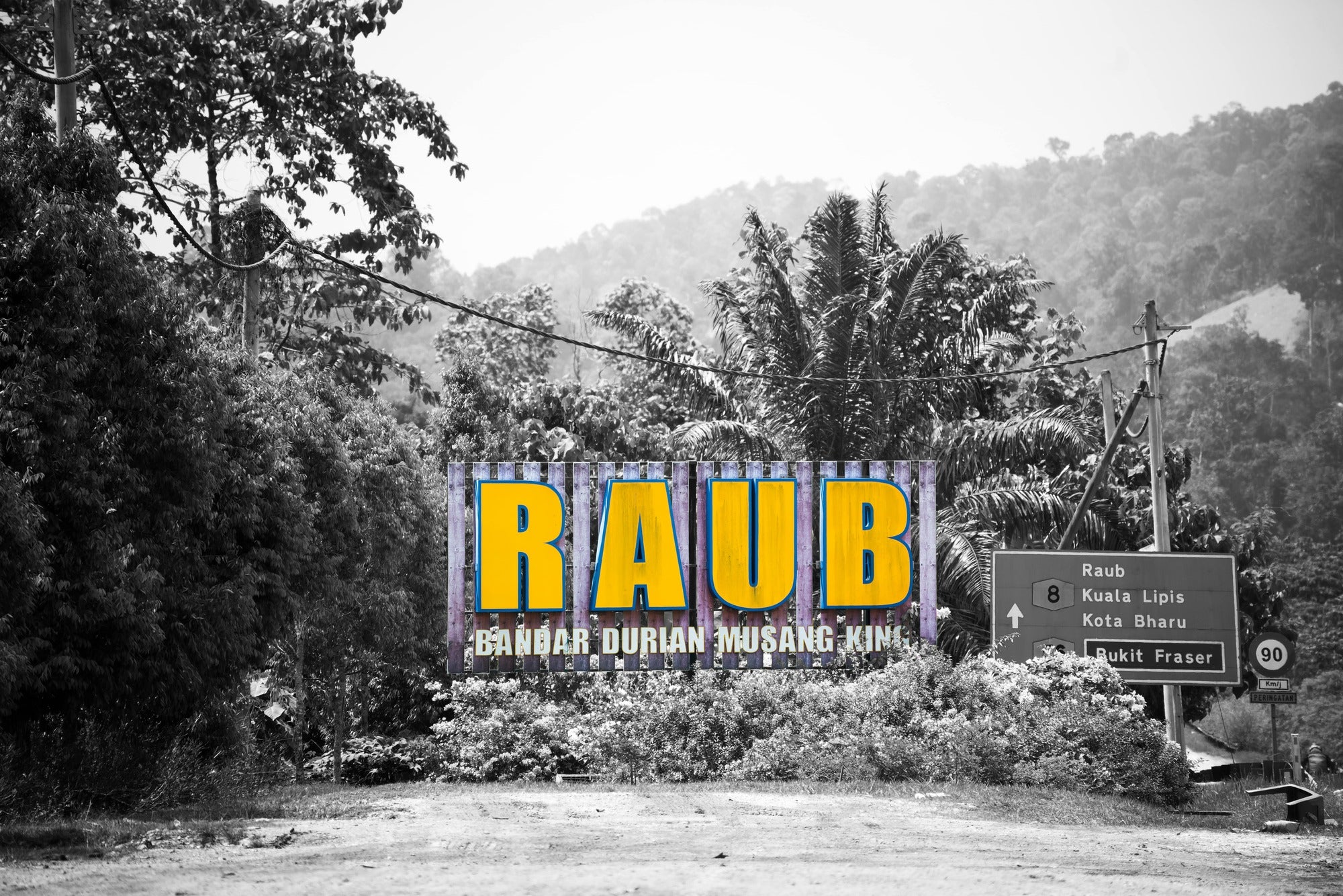 Colorful 'RAUB' sign in a black and white landscape with trees and mountains.